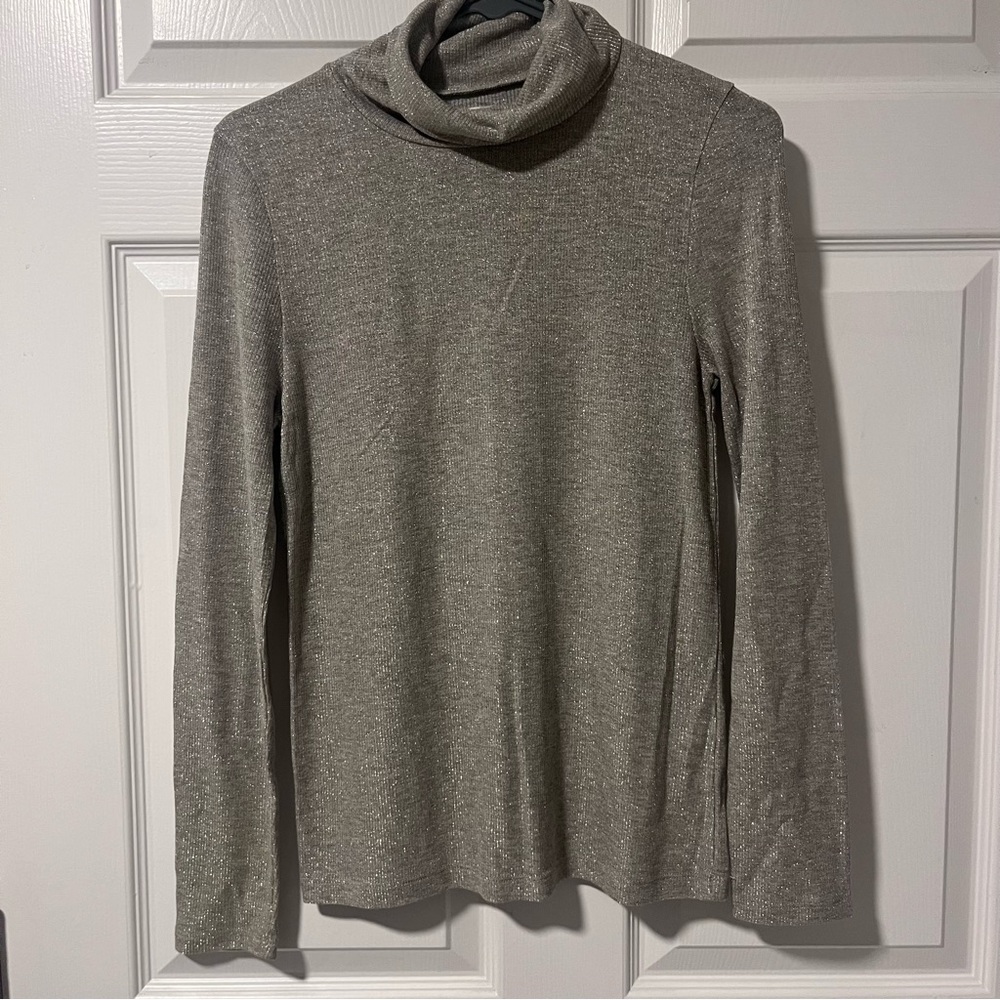 Madewell Shimmer Turtleneck
